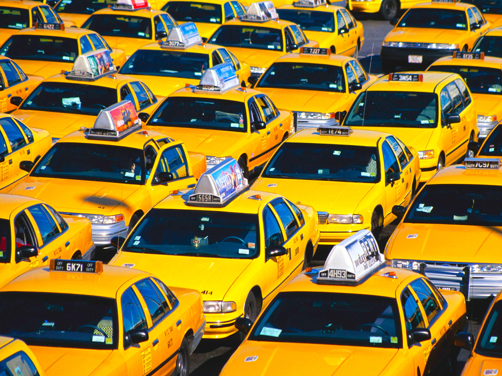 Yellow Taxis Waiting at Airport