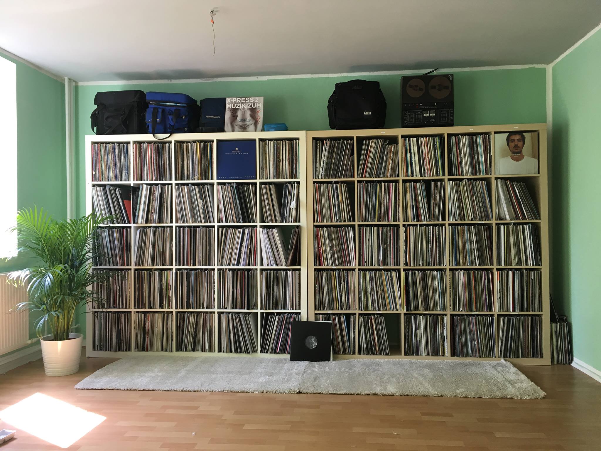  Cinthie's collection of over 6,000 records.